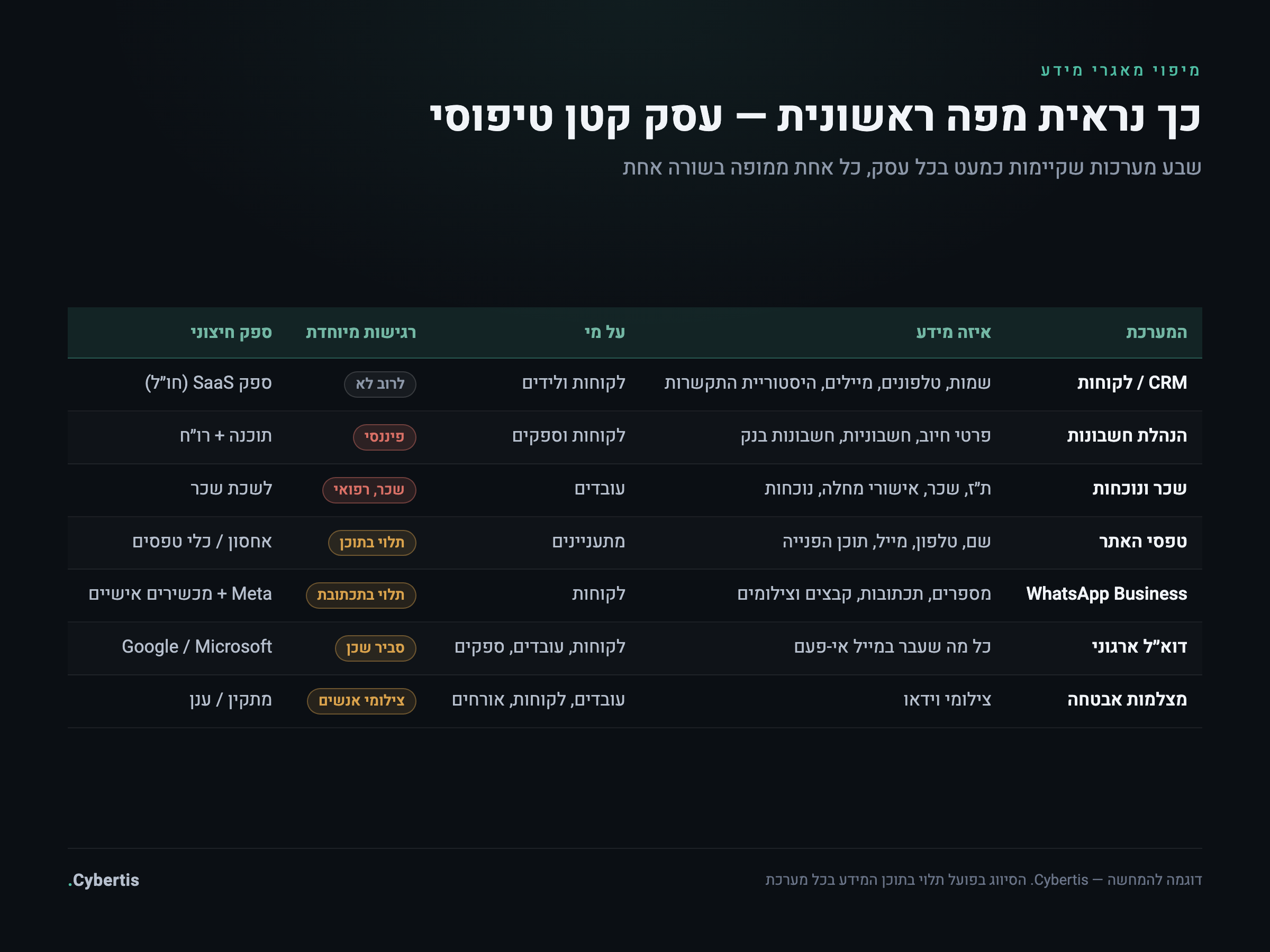 אינפוגרפיקה: טבלת מיפוי מאגרים לדוגמה בעסק קטן טיפוסי — שבע מערכות בשבע שורות